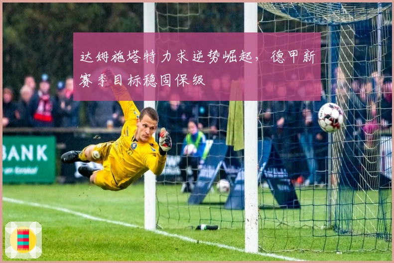 达姆施塔特力求逆势崛起,德甲新赛季目标稳固保级