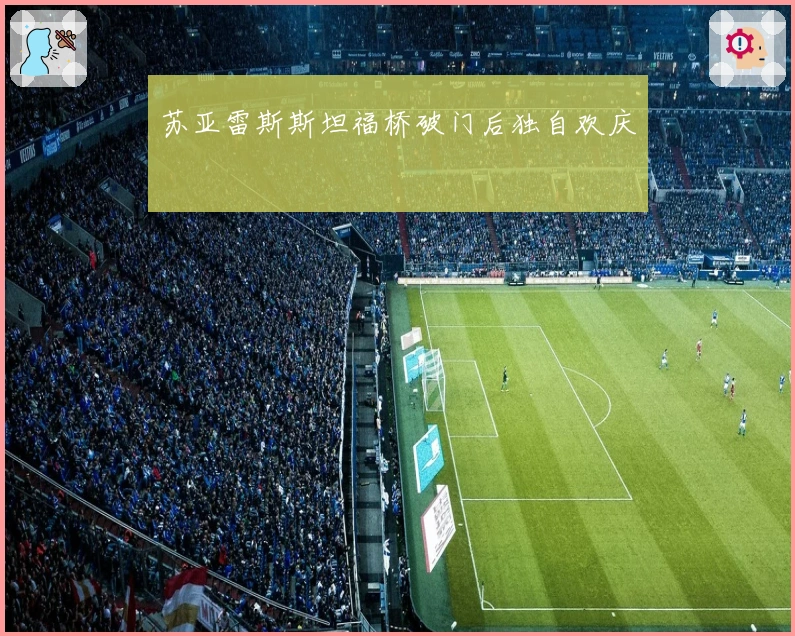 苏亚雷斯斯坦福桥破门后独自欢庆